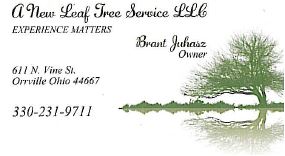 New Leaf Tree Service title=